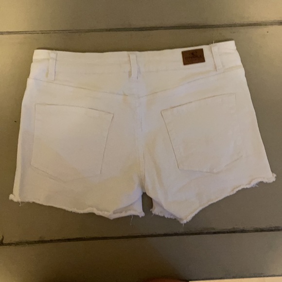 Oneil shorts - Picture 2 of 5